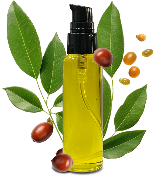 خرید روغن پوست و مو