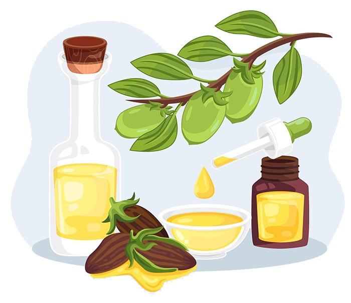خواص روغن کرچک