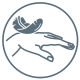 خرید روغن پوست